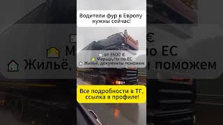 #работавевропе #разрешениенаработу #рф #рабочаяпоездка #трудоустройство #automobile
