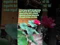 Mà Ng 1 6 NhuẠN 2025 Nghe Lá I PhẠT DẠY Loiphatday Tamtrang Cuocsong Baihoccuocsong Phatphap Mà Ng 1 6 NhuẠN 2025 Nghe Lá I PhẠT DẠY Loiphatday Tamtrang Cuocsong Baihoccuocsong Phatphap