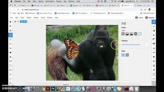 Vector_Drawing_BOXY_SVG_Bezier_Tool