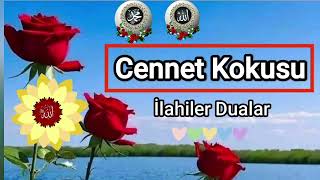 Ben Bir Deli Rüzgar Ilahisi