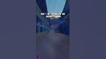 Day 1 Of Trying To Hit Secret Tunnel #viralshort #gorillatag #vr #day1 #fyp