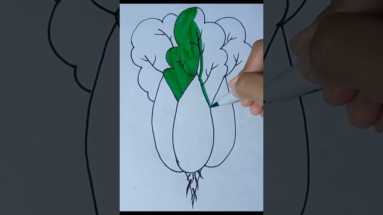 How to draw 3 Radish 
