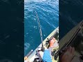 Drag SCREAMING Action! Offshore Kayak Fishing #shorts