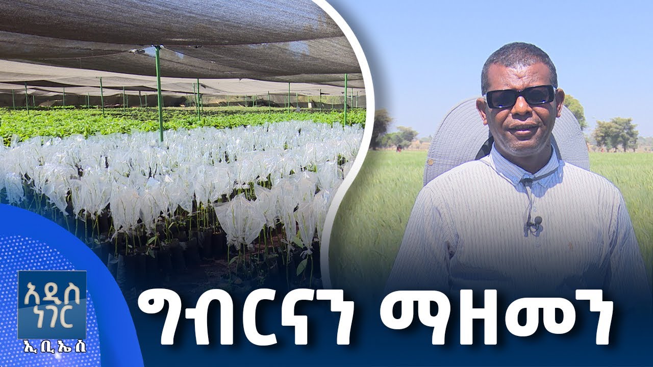 የግብርና ትራንስፎርሜሽም ኢንስቲትዩት፣ ጥር 08, 2018 What's New Jan 16, 2026