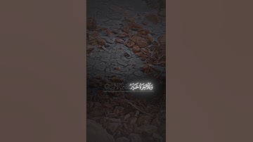 سورة الضحى 🥀 🤲 #القرآن_الكريم #quran_alkarim