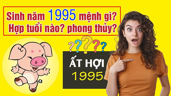 Sinh ngày 4 tháng 1 năm 1995 là tuổi gì năm 2024