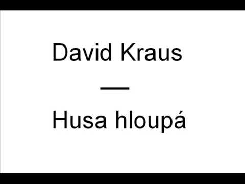 video - David Kraus - Husa hloupá