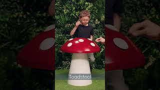 New! Musical Toadstool 🍄✨
