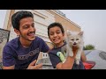 صار عندنا حيوان أليف قطوة صار عندنا حيوان أليف قطوة