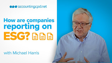How are companies reporting on ESG?