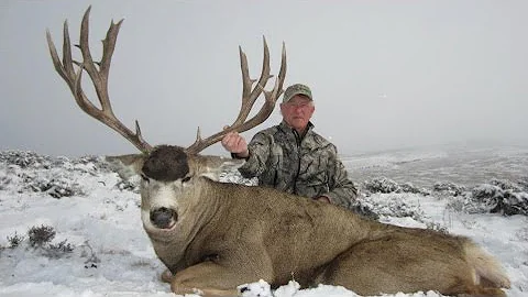 Colorado Governor's Tag Mule Deer Hunt 2011 - MossBack