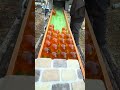 Marble Run☆The best entertainment from professional marble run artists②