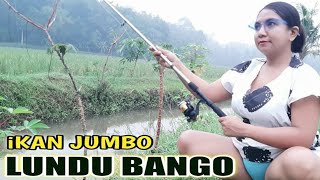 Mancing pagi di alam pedesaan di temani pemandagan yang indah