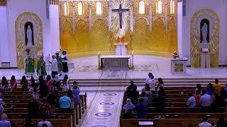 Cathedral Spanish Mass-July 19, 2026