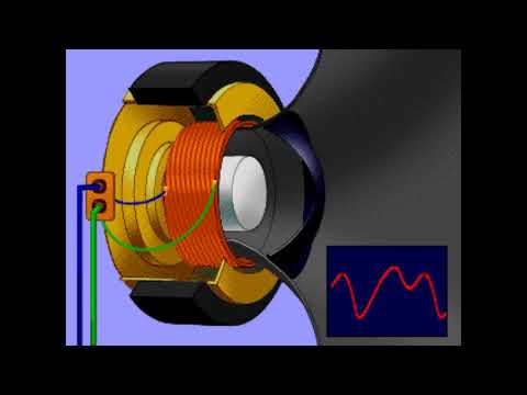 Video: ¿Qué hay detrás de un altavoz?