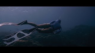 Cinematic underwater shots from sony a6500/ Freedivind with dolphins