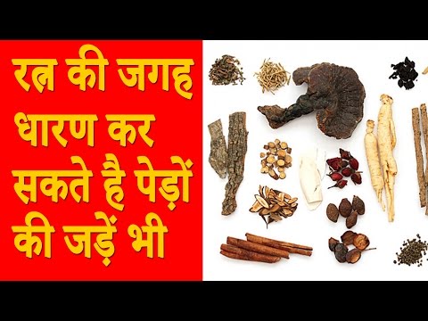 वीडियो: अंगूठी के छाल वाले पेड़ को कैसे बचाएं?