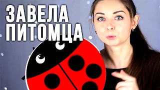 Разоблачаем китайца™ / HAUL GearBest / Обзор покупок / Unboxing 🐞 Afinka