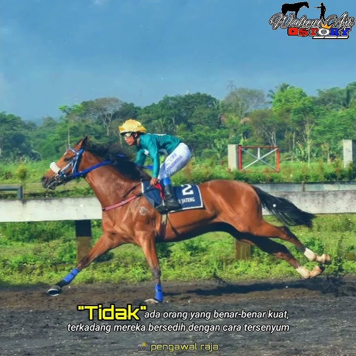 story'wa pacuan kuda