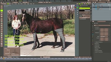 Aunt Fa Models a Model Show Horse, Part 2