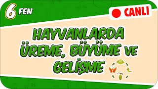 Hayvanlarda Üreme, Büyüme Ve Gelişme 6Fen7