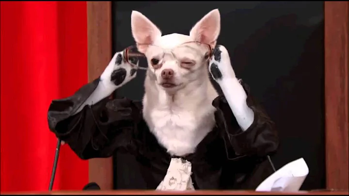 Supreme Court - Holt v Hobbs #RealAnimalsFakePaws #PuppyJustice