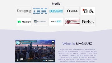 Magnus- Robot Platform with a Dual Blockchain
