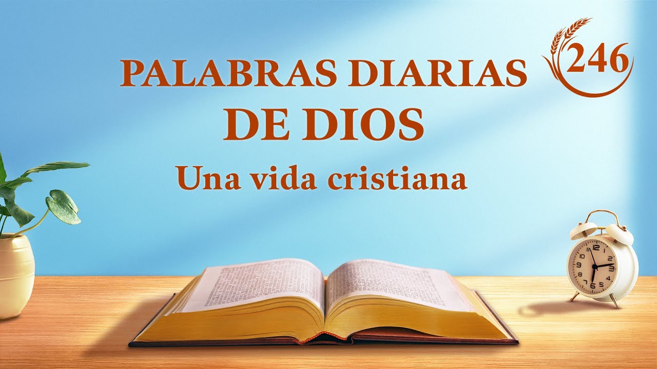 Palabras diarias de Dios | Fragmento 246 | "Es muy importante comprender el carácter de Dios"