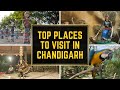 Top Places to Visit in Chandigarh | चंडीगढ़ में घूमने की शानदार जगह
