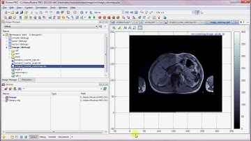 Riviera-PRO 4.6 Debugging: Plots - A Powerful Alternative to Waveforms