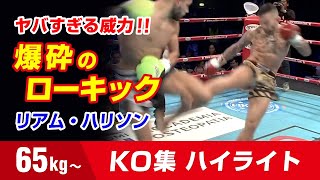 歴戦の古豪 リアム・ハリソン 65kg Liam harrison Knockout Highlights