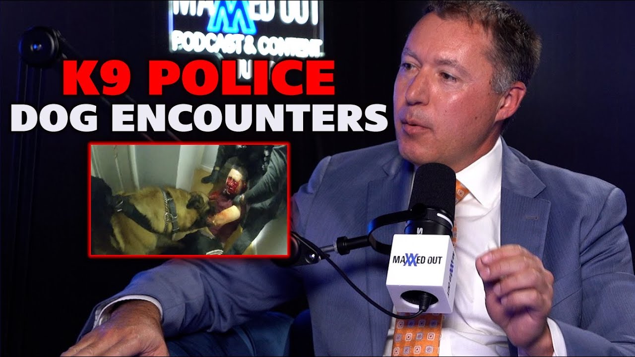 Полицейские собаки отряда К9: происшествия и правовая информация