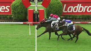 Race 3 SKY RACING CLASS 3 HANDICAP 1640M Wed 22 Mar 2023 Doomben Soft 6 screenshot 4