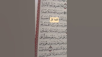 كلمة كل آية 76 سورة النحل