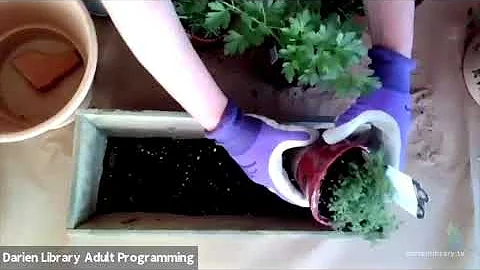 The Kitchen Herb Garden with Michele Blakeslee