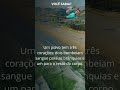 Videos do canal claudius romano. VIVER BEM