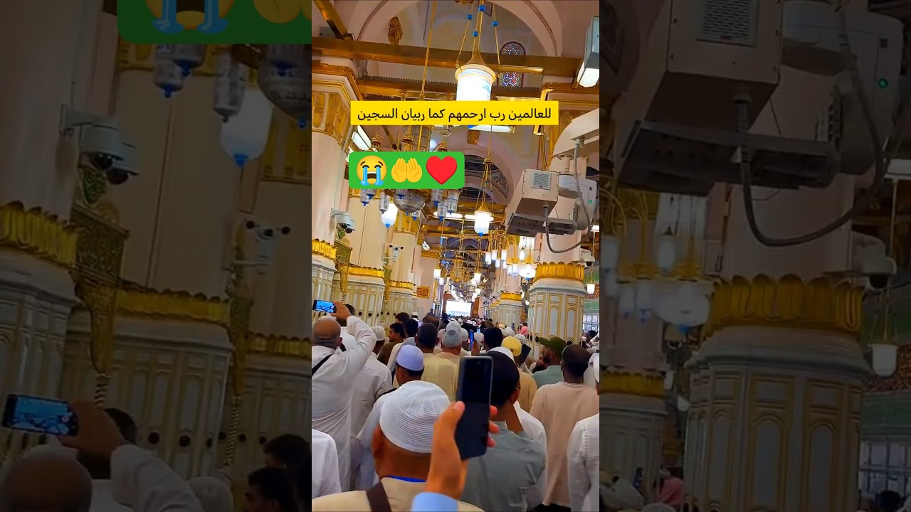 naat & islamic content✨😭|makkah live madina view 