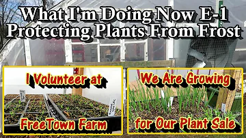 What I'm Doing Now E-1: Managing Growing & Frost at the Freetown Farm Greenhouse - A Quick Tour!