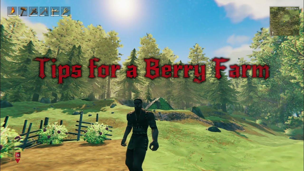 Valheim raspberry farm no cheats YouTube