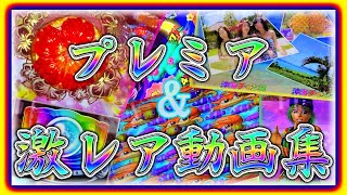 プレミア&激レア動画集！スーパー海物語in沖縄4