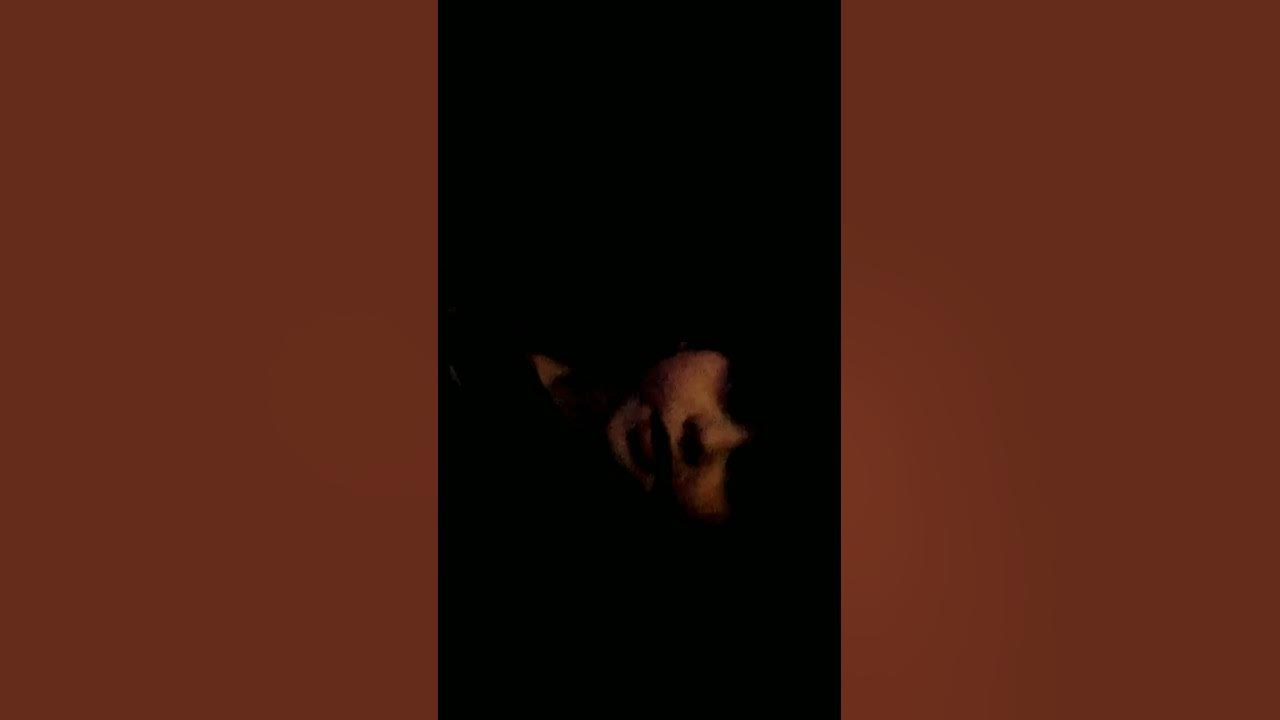 куси - YouTube
