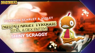 Not A Target Tyrogue, Still A Dex Entry! | Shiny Scraggy Reaction in Pokémon Scarlet & Violet