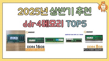 가성비 끝판왕 ddr4메모리 추천 TOP5 (2025년)