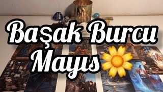 Başak Burcu Mayıs Genel🌼Yeni Deneyimlere Ve Berekete Açılıyorsun. 