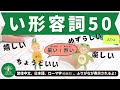 L14 学習系｜い形容詞50｜日本人森〜Japanese Life〜