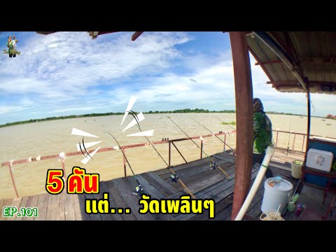 ตกปลาแม่น้ำเจ้าพระยา แพสุรัตน์บางไทร “ไม่มีเหงา วัดเพลินๆ”