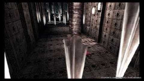 Devil May Cry 3 Royal guard training