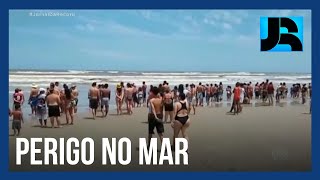 Bombeiros Confirmam Que Criança De 11 Anos Foi Ferida Por Tubarão No Litoral Paulista