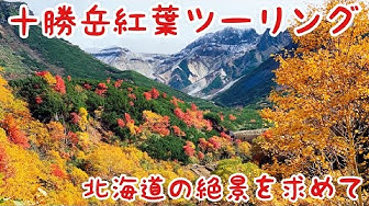 紅葉 Youtube