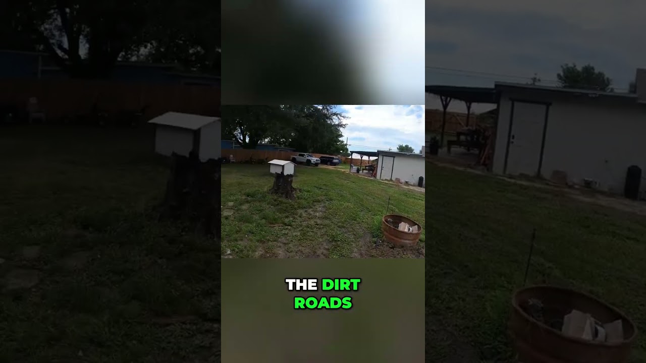 3-Car Pileup & Muddy Dingo Adventures! #shorts